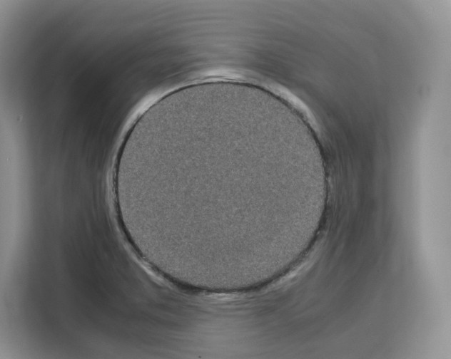 X0000111661373200908281101