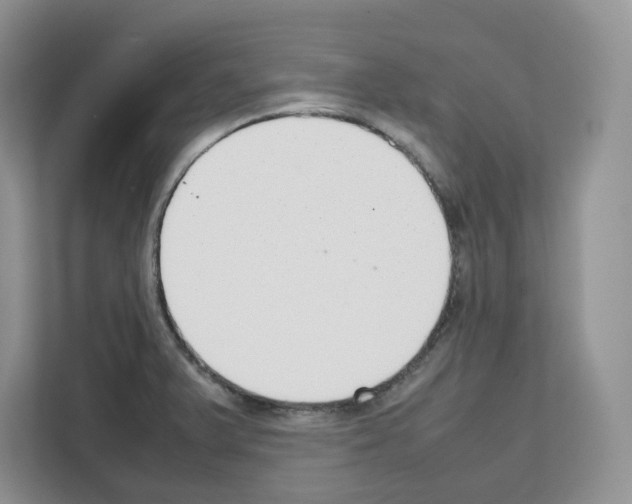 X0000111661375200908281101