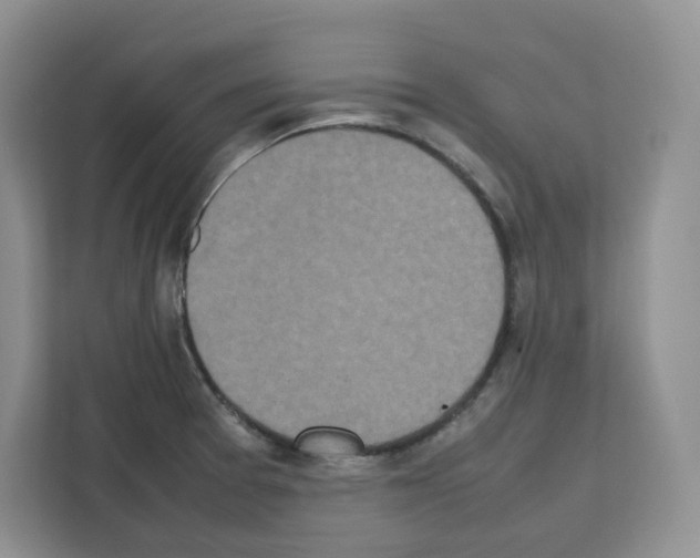 X0000111661377200908281100