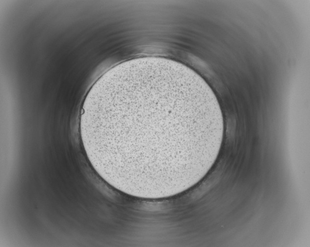 X0000111661378200908281100