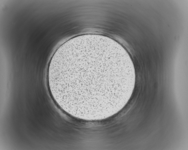 X0000111661379200908281100