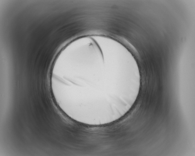 X0000111661380200908281100