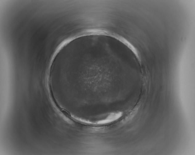 X0000111661381200908281100