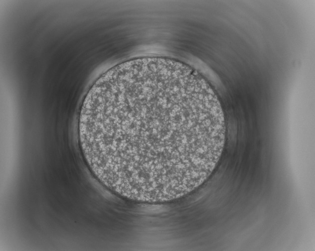 X0000111661382200908281100