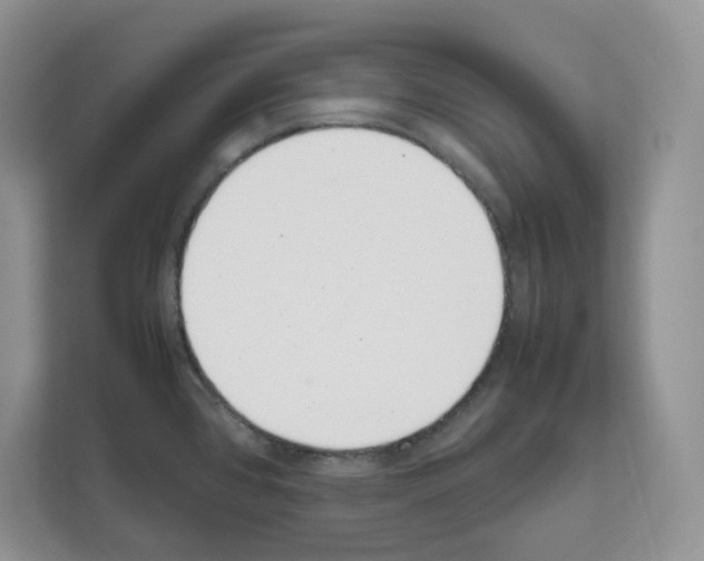 X0000111661384200908281100