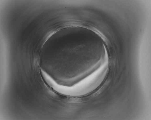 X0000111661385200908281100