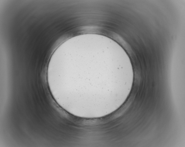 X0000111661386200908281100