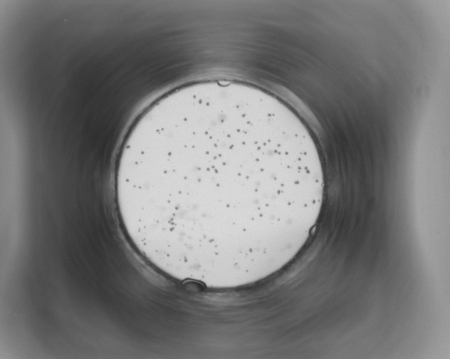 X0000111661388200908281100