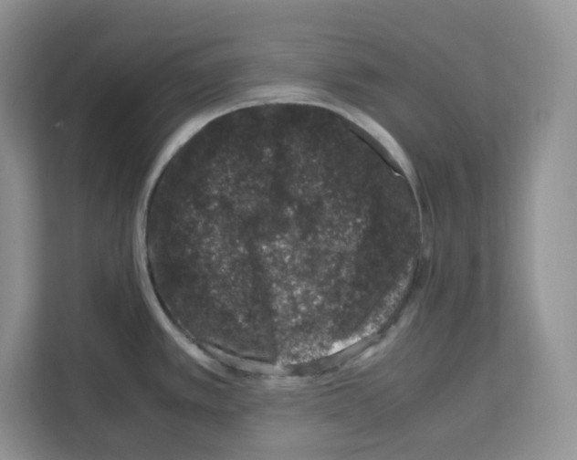 X0000111661389200908281100