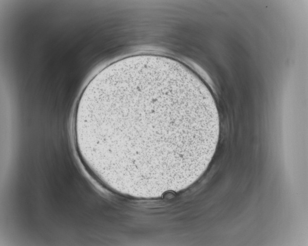 X0000111661391200908281100