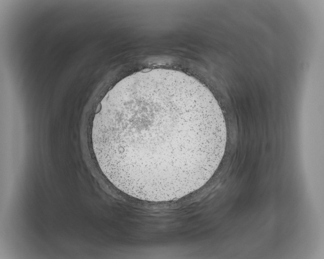 X0000111661393200908281100