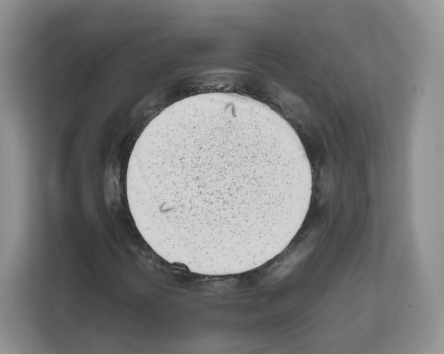 X0000111661394200908281100