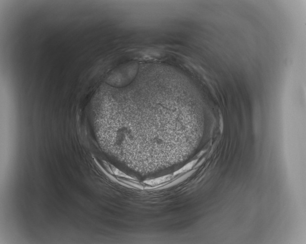 X0000111661395200908281100