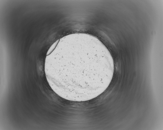 X0000111661396200908281100