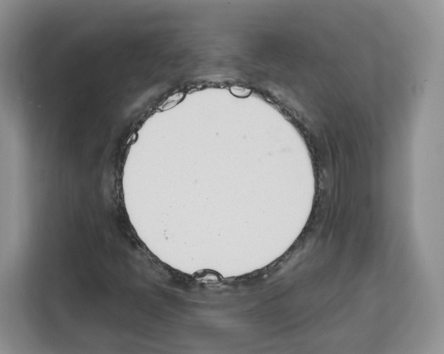 X0000111661398200908281100