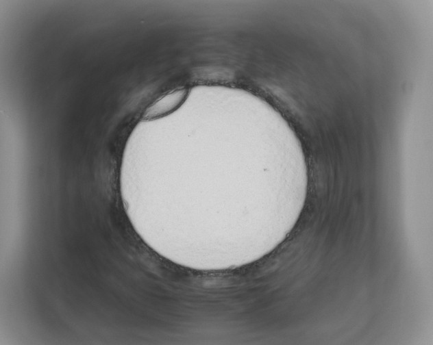 X0000111661399200908281100