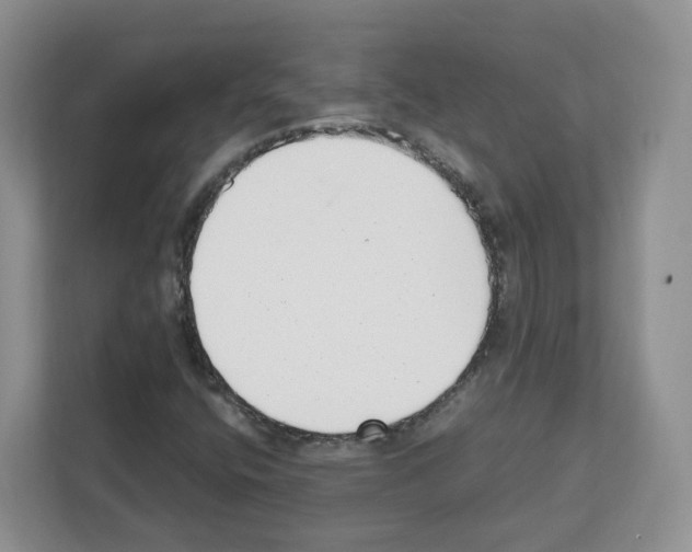 X0000111661400200908281100