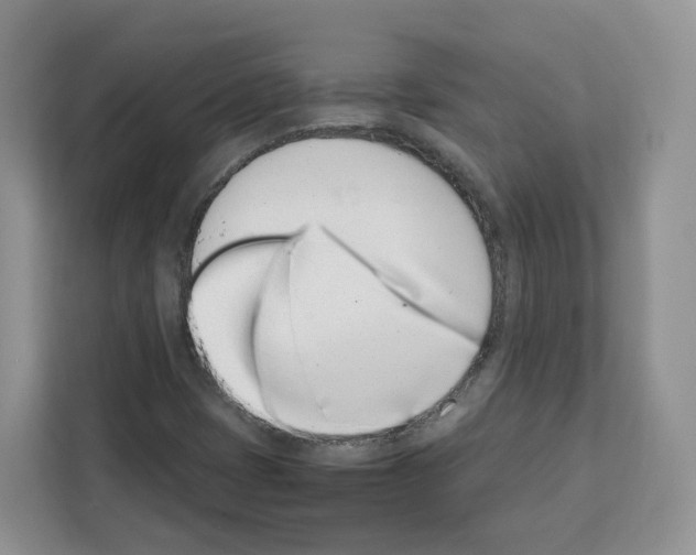 X0000111661401200908281100