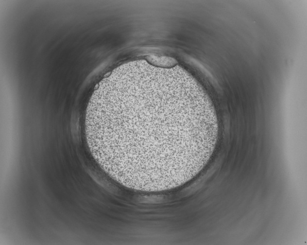 X0000111661403200908281100