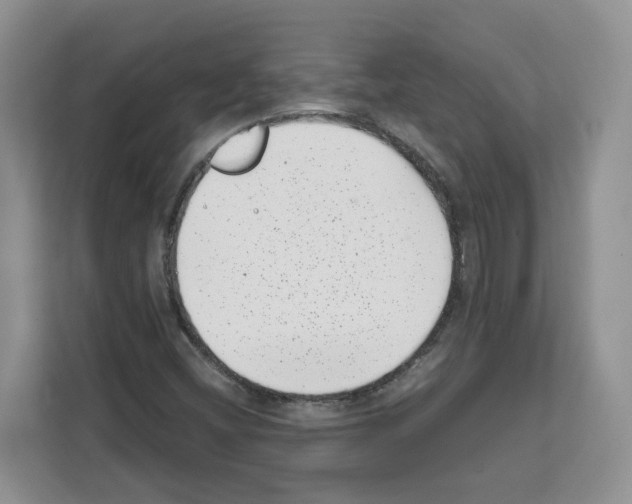 X0000111661404200908281100