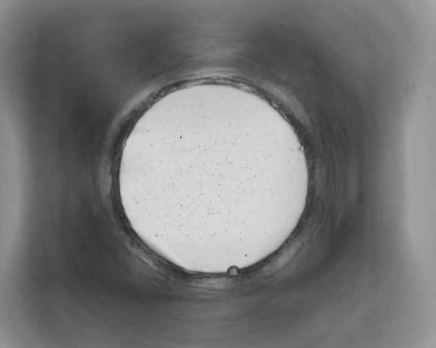 X0000111661406200908281100