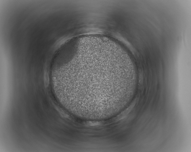 X0000111661407200908281100