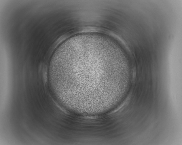 X0000111661409200908281100