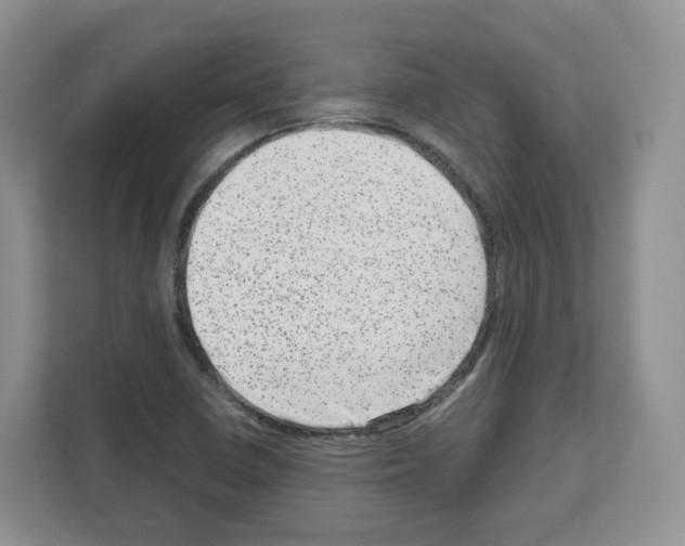 X0000111661410200908281100