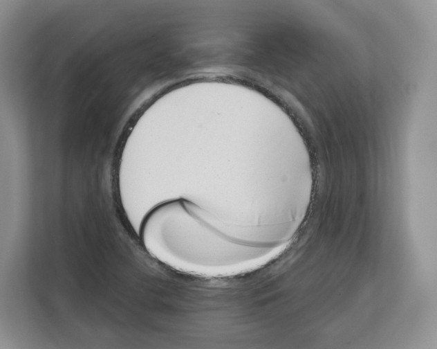 X0000111661412200908281100