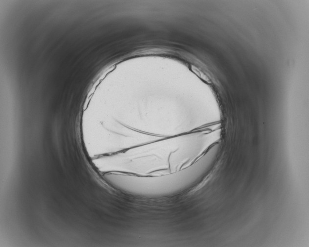 X0000111661417200908281100