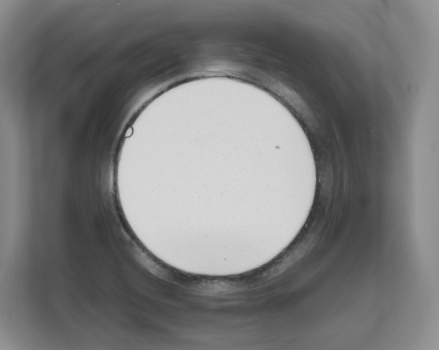 X0000111661420200908281100