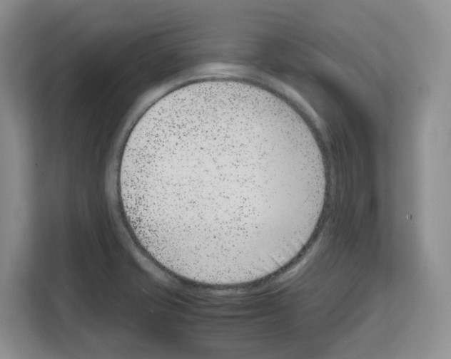 X0000111661421200908281100