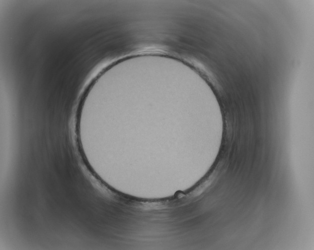 X0000111661422200908281100