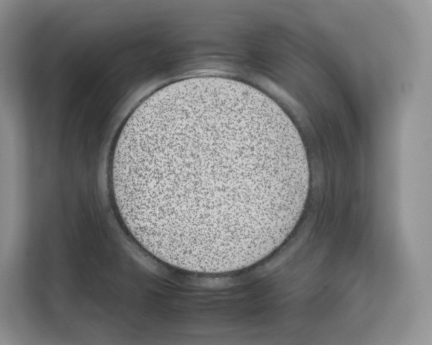 X0000111661423200908281100