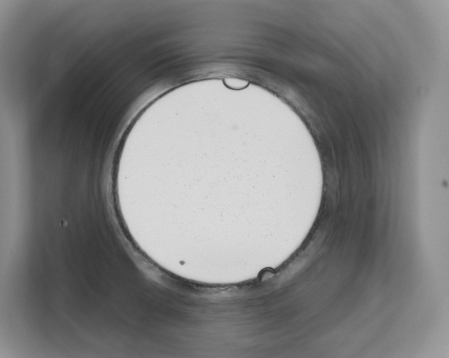 X0000111661426200908281100