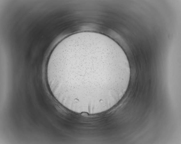 X0000111661427200908281100