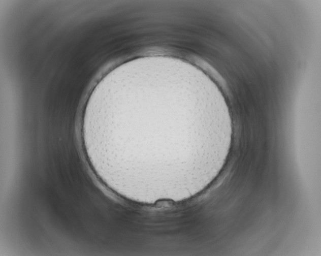 X0000111661429200908281100