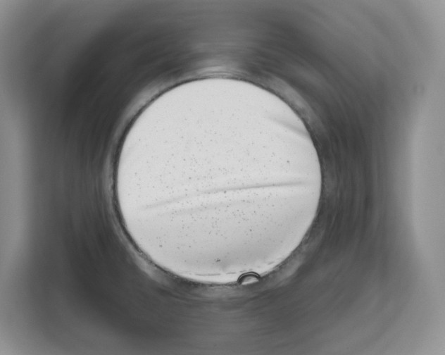 X0000111661430200908281100