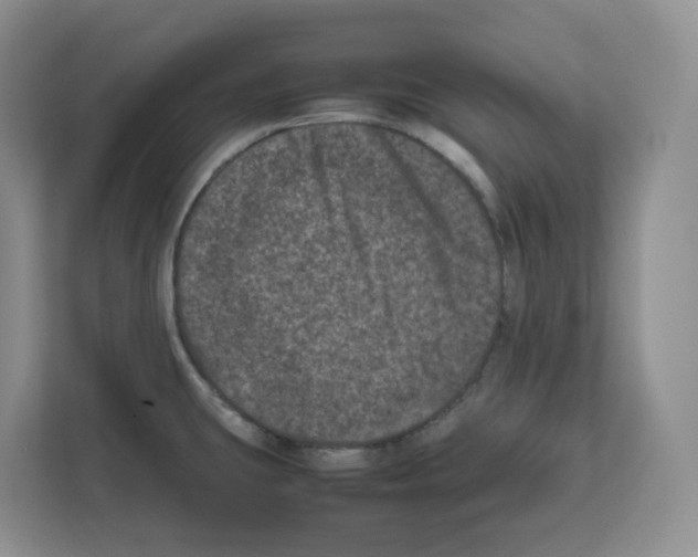 X0000111661431200908281100