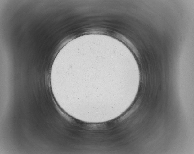 X0000111661433200908281100