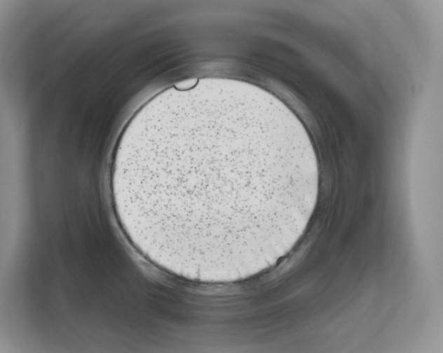 X0000111661434200908281100