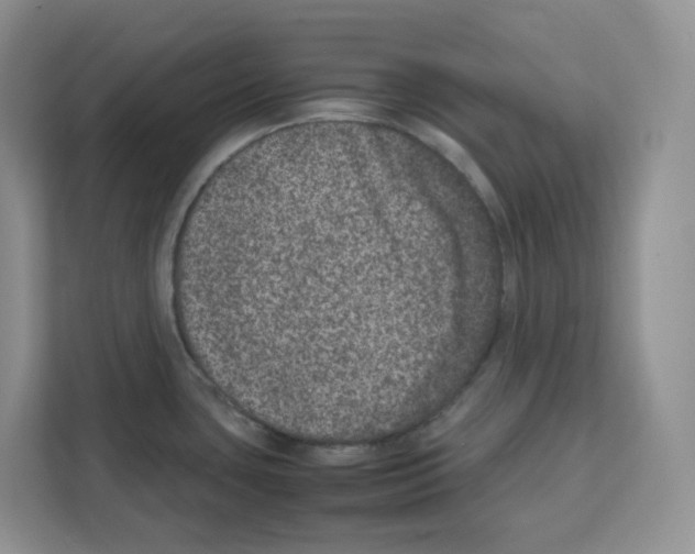 X0000111661435200908281100