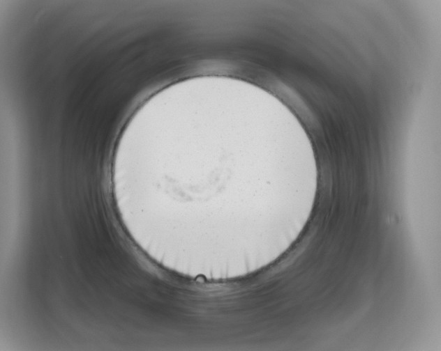 X0000111661436200908281100