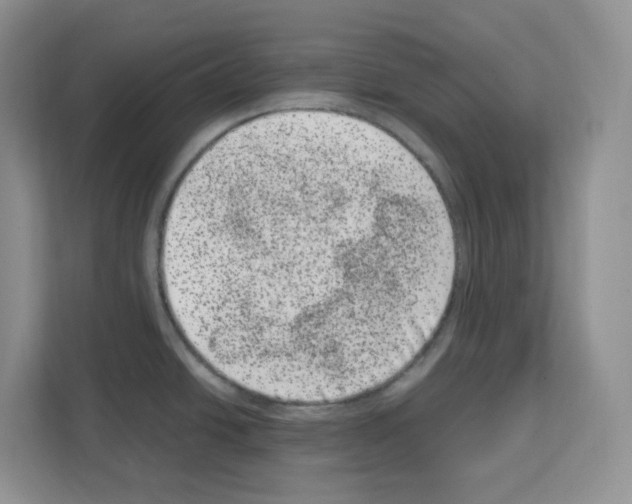 X0000111661438200908281100