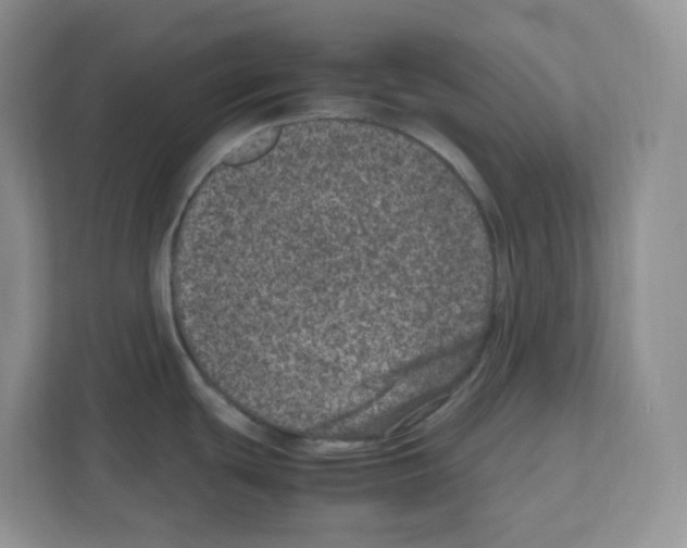 X0000111661439200908281100