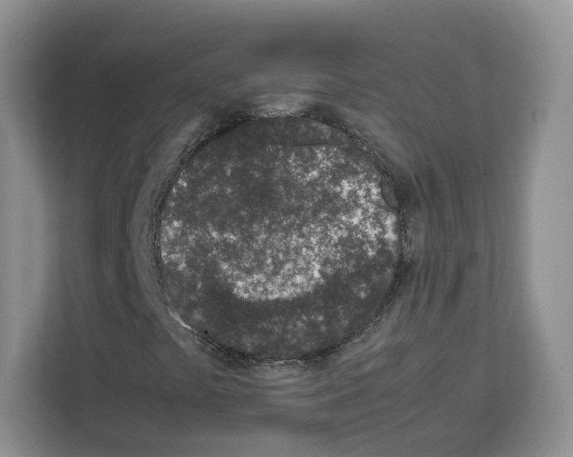 X0000111661441200908281100