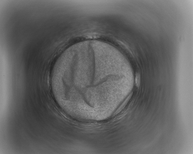 X0000111661444200908281100