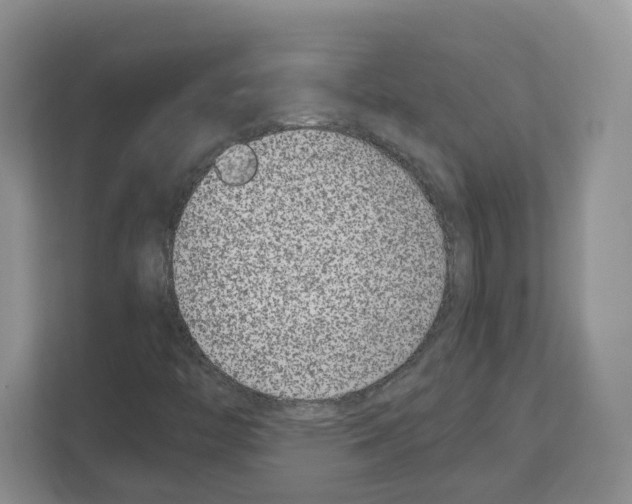 X0000111661446200908281100