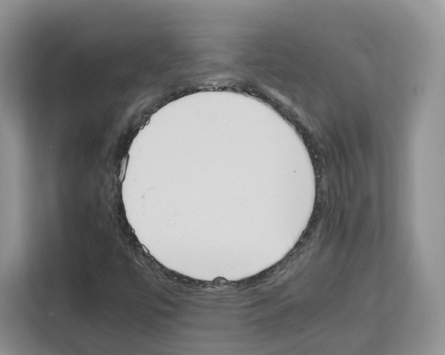 X0000111661447200908281100