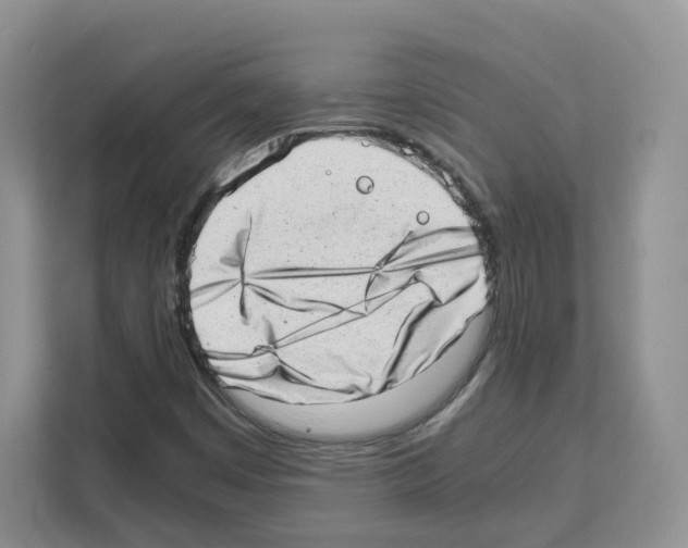 X0000111661449200908281100